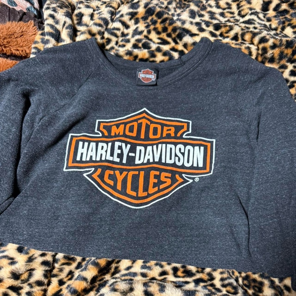 Harley-Davidson sweatshirt